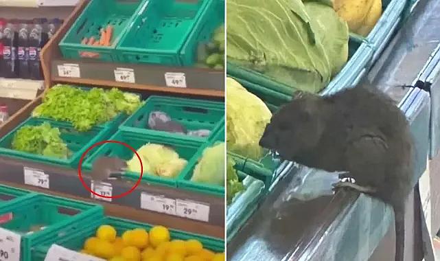 Market Reyonunda Fare Skandalı