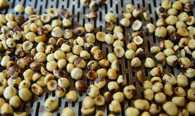 Düzce'den AB ülkelerine 15 bin 750 ton iç fındık ihraç edildi