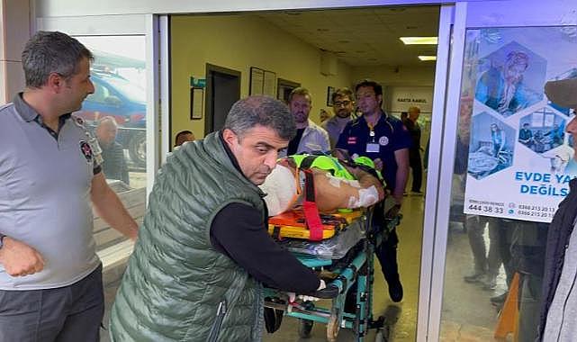 Mantar toplarken ayı saldırısına uğrayan köy imamı yaralandı