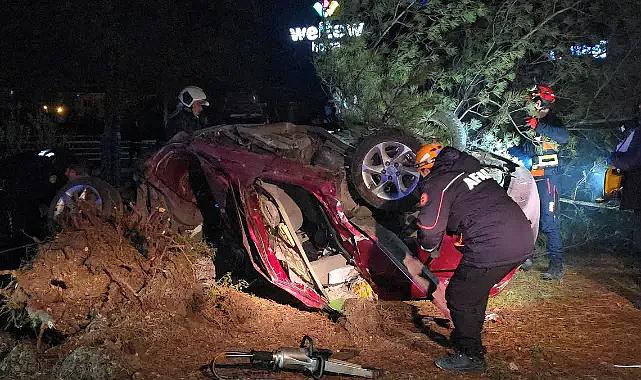 Karabük'te feci kaza: Çarptığı ağacı kökünden söktü