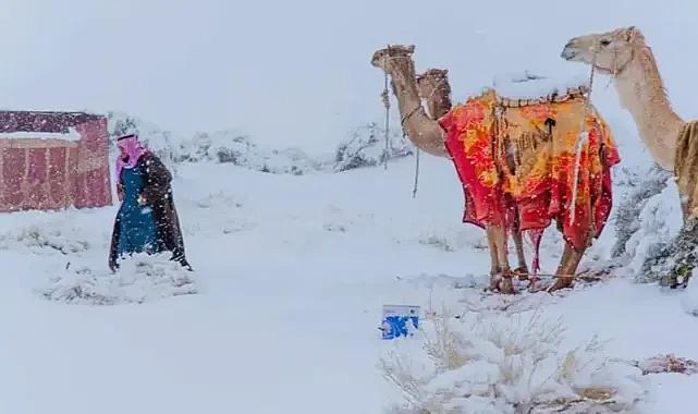Suudi Arabistan'a yağan kar eşsiz görüntülere yol açtı