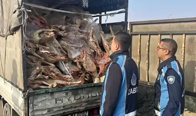 Tam 1 ton 900 kilo bozulmuş et yakalandı!