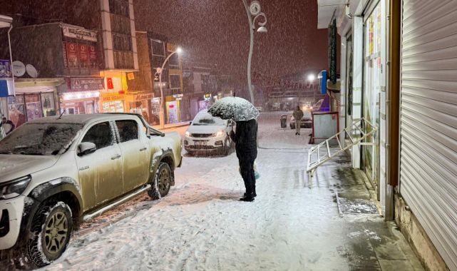 Van'ın yüksek kesimlerinde kar etkili oldu