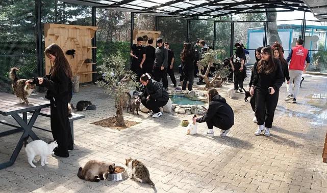 Yıldırım'da gençlerden patili dostlara sevgi ziyareti
