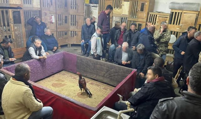 Horoz dövüştüren 23 kişiye para cezası