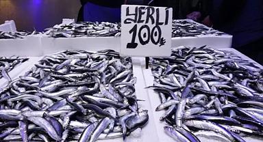 Trabzon'da hamsi ve istavrit bereketi