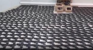 2 ilde büyük operasyon: Binlerce silah ele geçirildi