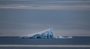 Arktik deniz buzundaki kayıp hızlı biçimde artıyor