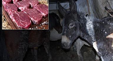 Bakanlık markayı açıkça ifşa etti: Vatandaşa at ve eşek eti yedirdiler