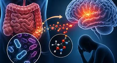 Bilim insanları yeni bağlantıyı ortaya koydu: Depresyonun nedeni bağırsakta mı gizli?