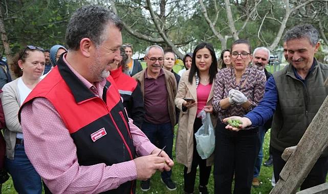 Bursa siyahı incirde sıkı denetim
