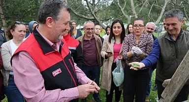 Bursa siyahı incirde sıkı denetim