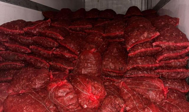 Bursa ve Balıkesir'de 10 ton kaçak midye ele geçirildi