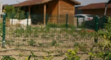 'Hobi bahçeleri'nde yeni düzenleme gündemde