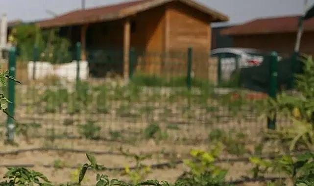 'Hobi bahçeleri'nde yeni düzenleme gündemde