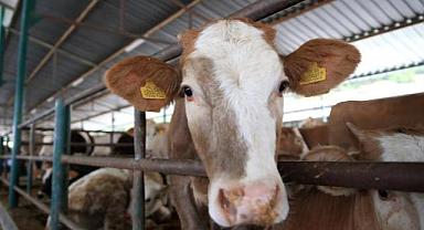 'Kurban Tebliği' Resmi Gazete'de yayımlandı