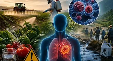 Tarım ilaçlarıyla kanser riski arasında çarpıcı bağ: Risk yüzde 150 artıyor