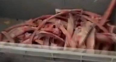 Ankara'da sağlığı tehdit eden 40 ton et ele geçirildi