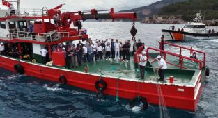 Antalya'da hayalet ağ temizliği yapıldı