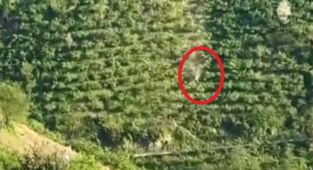 Giresun'da kamyonet dik yamaçtan yuvarlandı, o anlar kameraya yansıdı