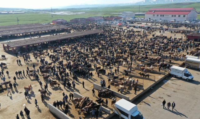 Hayvancılık merkezlerinde bayram hareketliliği arttı