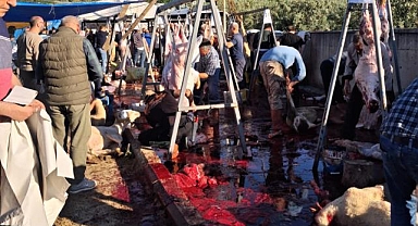 Mudanya'da kurban kesim alanı tepkisi: Bu görüntüler Mudanya'ya yakışmadı