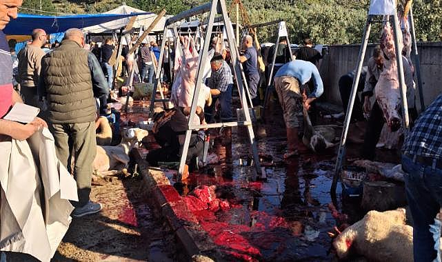 Mudanya'da kurban kesim alanı tepkisi: Bu görüntüler Mudanya'ya yakışmadı