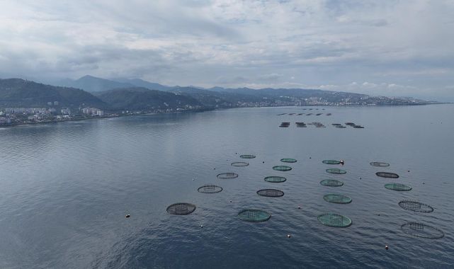 Su ürünleri ihracatı 2025t’e 2,2 milyar doları aştı