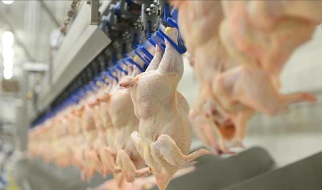 Beyaz et sektöründeki 13 şirkete denetim kayyımı atandı