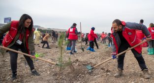 Hastaya Kan, Ormana Can projesiyle 4,7 milyon fidan toprakla buluştu