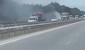 İzmir-Bursa kara yolunda alevler korkuttu