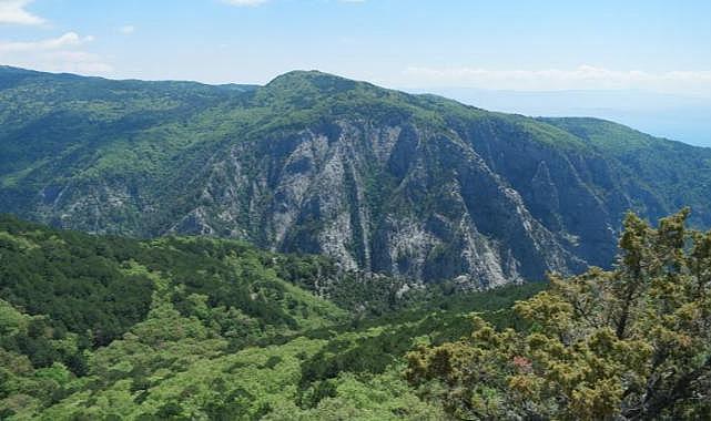 Kazdağları Milli Parkı'nın büyük bölümü ziyarete kapatılıyor
