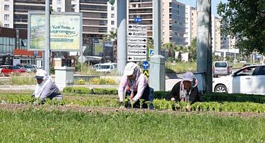 Osmangazi’nin Her Yeri Çiçeklerle Donatılıyor 