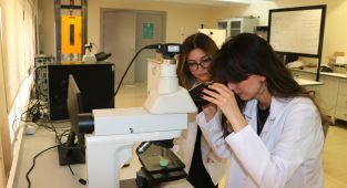 Yumurta kabuğundan implantlarda kullanılabilecek biyomalzeme ürettiler