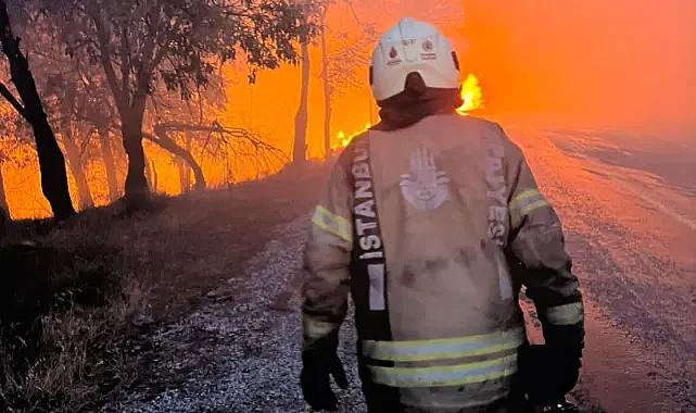 5 bölgede orman yangınları sürüyor! Ayvalık Bergama yolu trafiğe kapatıldı