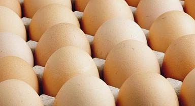 ABD'de milyonlarca yumurta salmonella şüphesiyle geri çağırıldı