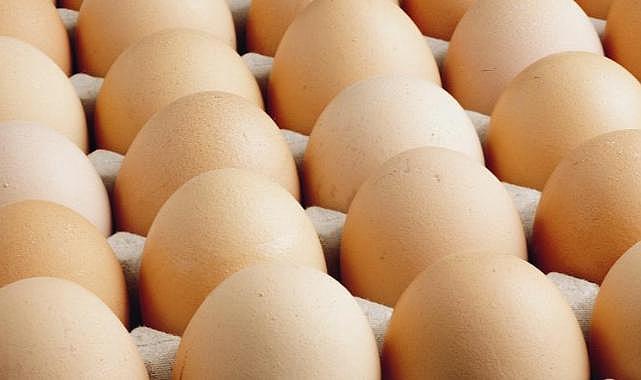 ABD'de milyonlarca yumurta salmonella şüphesiyle geri çağırıldı