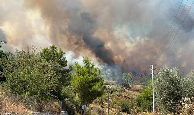 Antalya'nın Kumluca'daki orman yangınına müdahale ediliyor