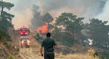 Aydın'daki orman yangınına müdahale sürüyor