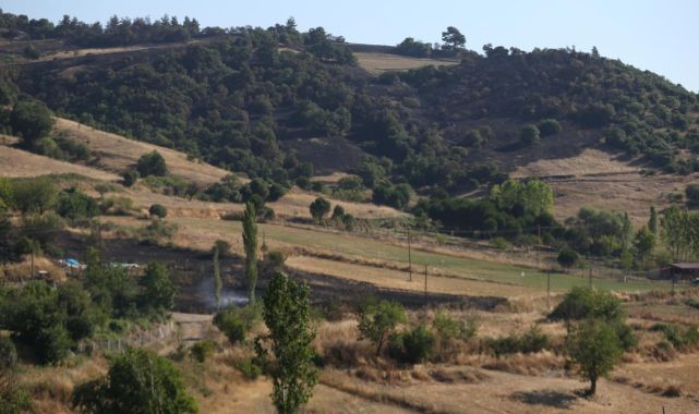 Balıkesir'deki orman yangını kontrol altına alındı