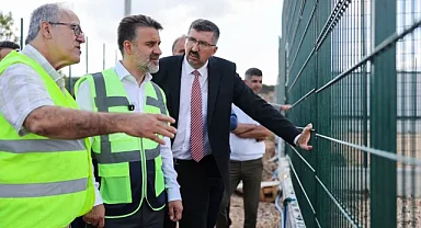 Bursa Büyükşehir'den sokak hayvanları için doğal yaşam alanı