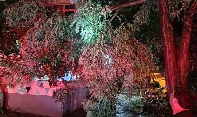 Erdek’te fırtına ve dolu yağışı: Ağaçlar devrildi, çatılar uçtu