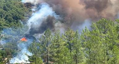 Fethiye’de orman yangını