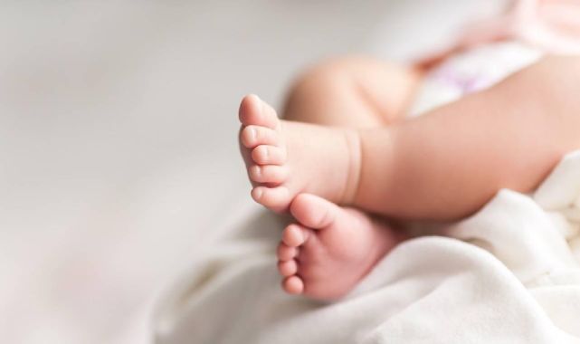 Fransa'da bir evde beş bebeğe ait kalıntılar bulundu
