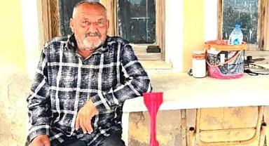 İzmir'de ayının saldırısına uğrayan kişi öldü