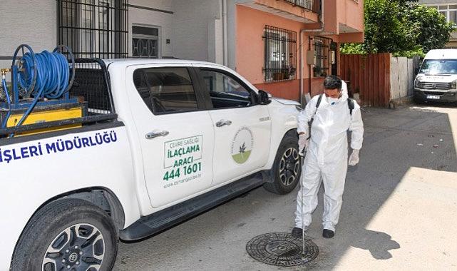 Osmangazi Belediyesi’nden Haşereye Karşı Anında Müdahale