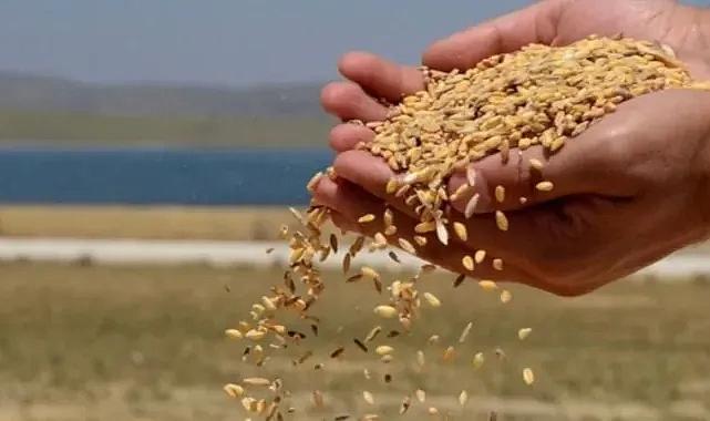 TMO 21 günde rekor alım yaptı: 1 milyon ton ürün alındı