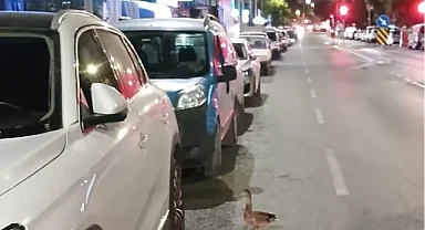 Trafiği durdurup ördeği kurtardılar