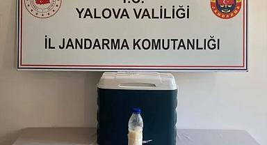 Yalova’da 5 milyon dolarlık akrep zehri ele geçirildi