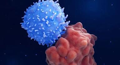 ABD ilk mRNA tabanlı mevsimsel grip aşısını onayladı